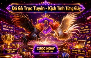 Sảnh đá gà wasxz1202 trên giao diện mobile